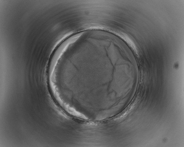X0000116880806201001191743