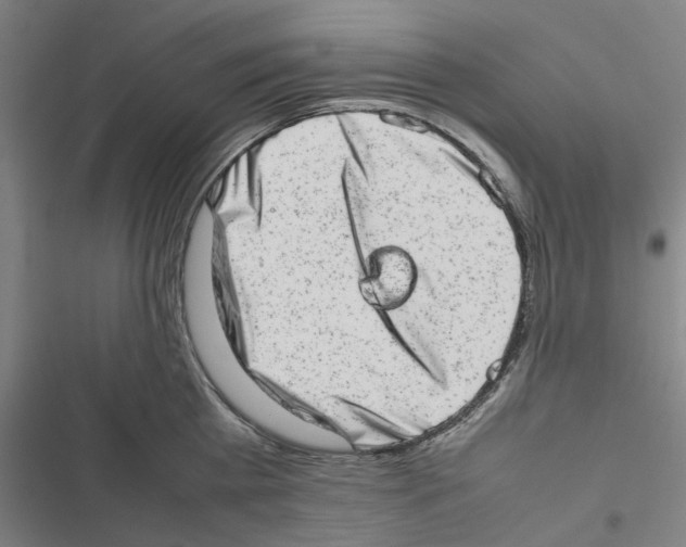 X0000116880809201001191742