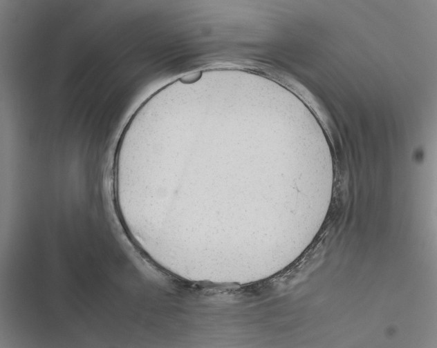 X0000116880811201001191742