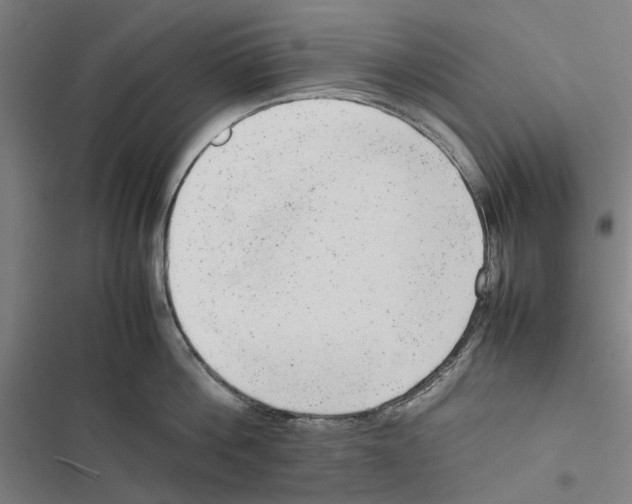 X0000116880812201001191742