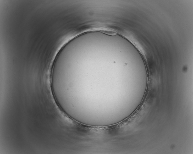 X0000116880813201001191742