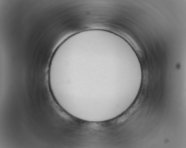 X0000116880814201001191742