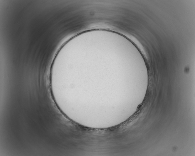 X0000116880815201001191742