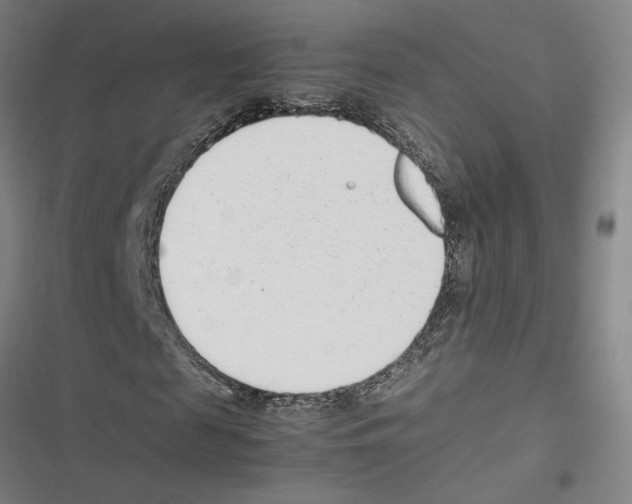 X0000116880817201001191742