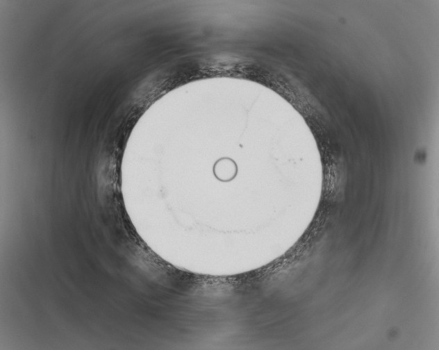 X0000116880820201001191742
