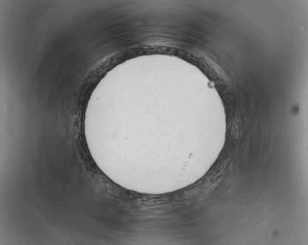 X0000116880821201001191742
