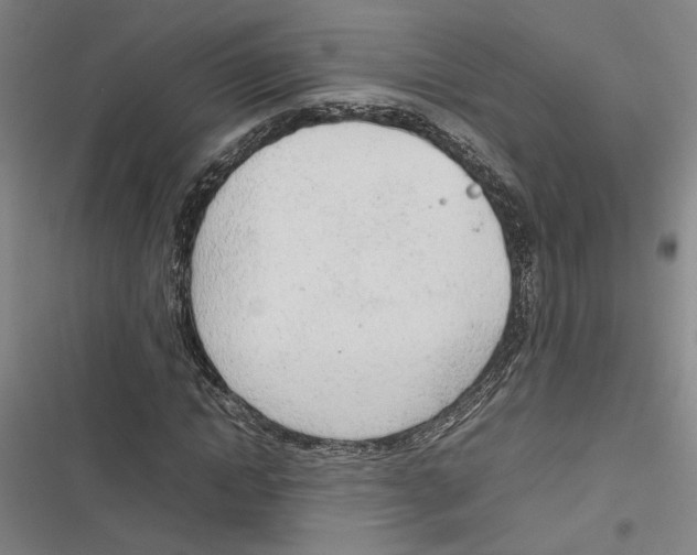 X0000116880822201001191742
