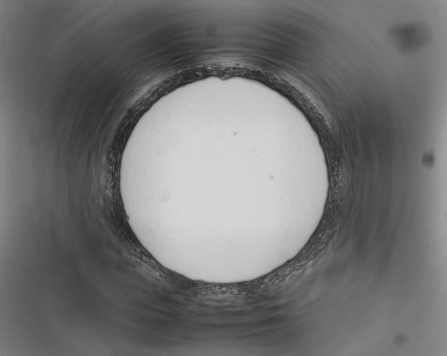 X0000116880823201001191742