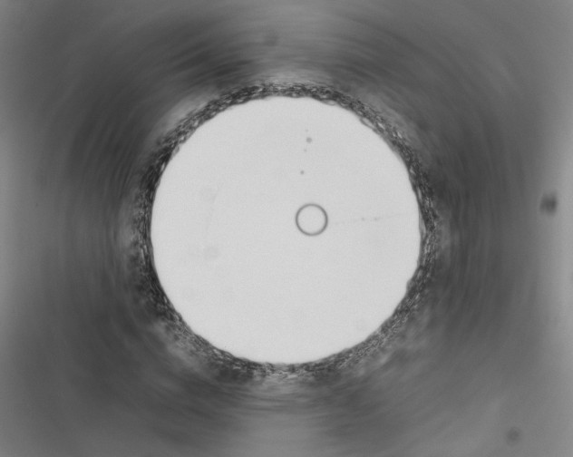X0000116880824201001191742