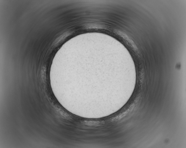X0000116880825201001191742