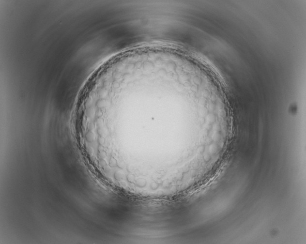 X0000116880828201001191742