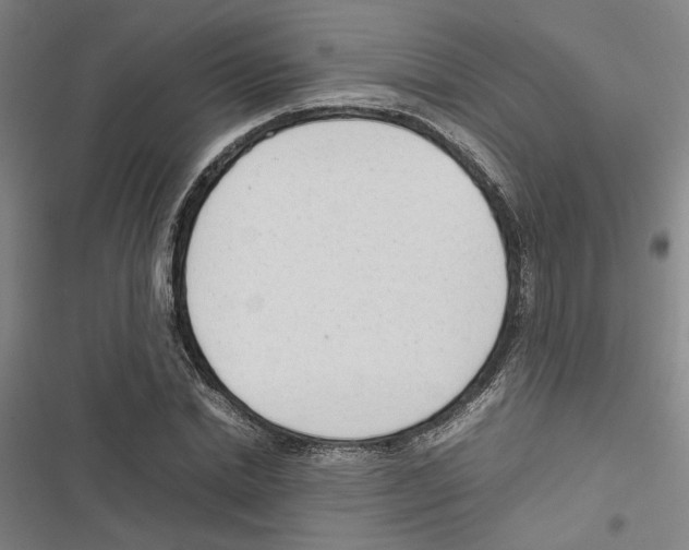 X0000116880830201001191742