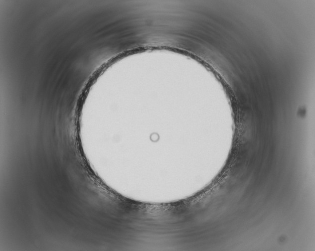 X0000116880832201001191742