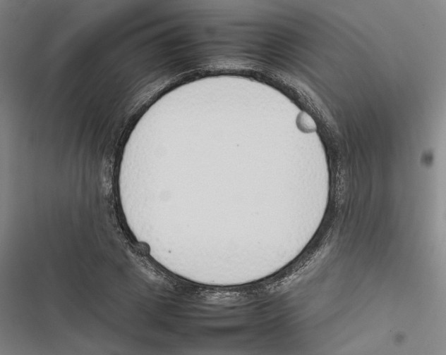 X0000116880833201001191742
