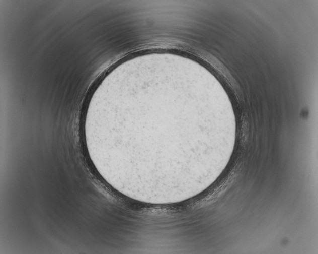 X0000116880834201001191742
