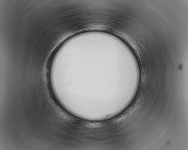 X0000116880835201001191742