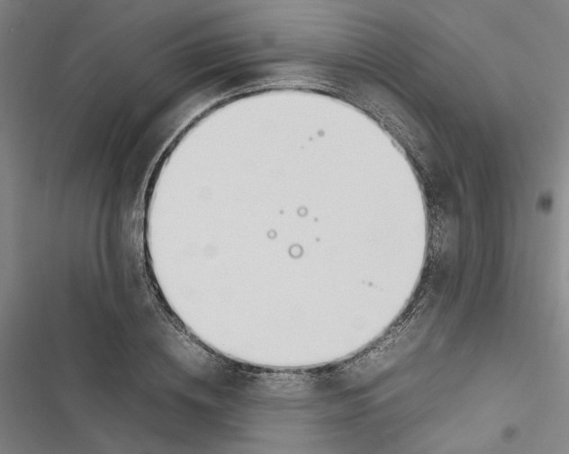 X0000116880836201001191742
