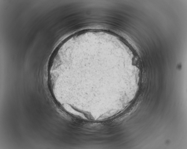 X0000116880837201001191742