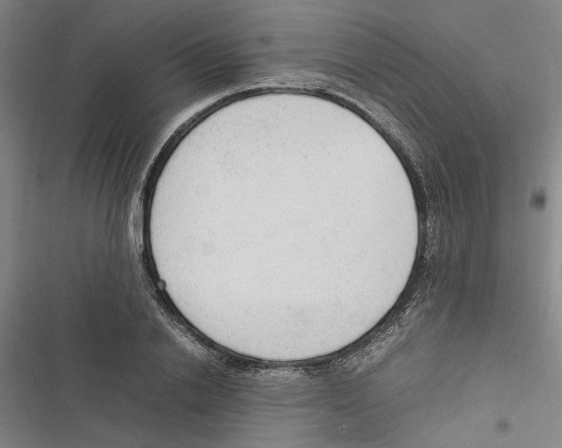 X0000116880838201001191742