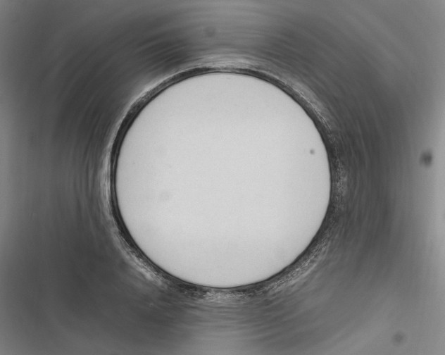 X0000116880840201001191742