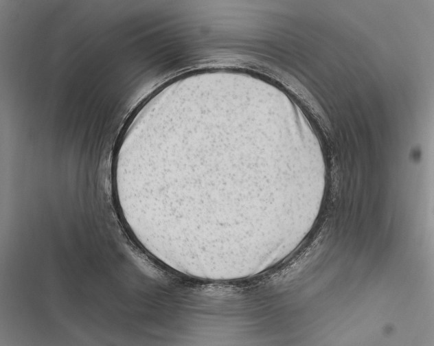 X0000116880842201001191742