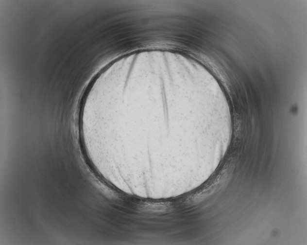 X0000116880843201001191742