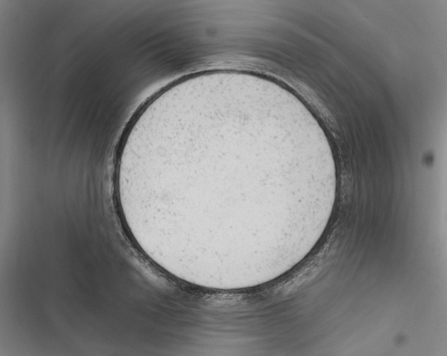 X0000116880846201001191742
