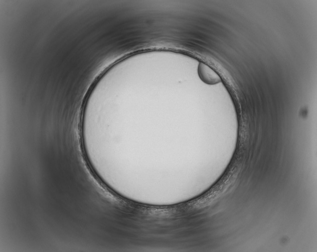 X0000116880847201001191742