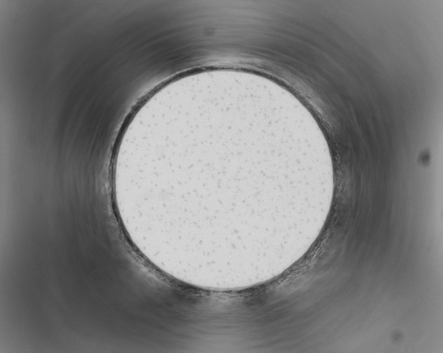 X0000116880848201001191742