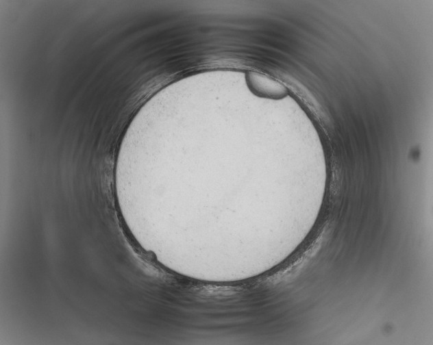 X0000116880849201001191742