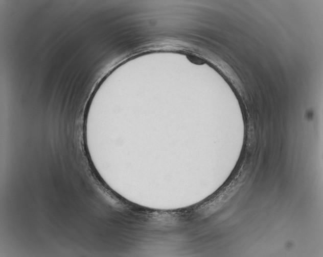 X0000116880850201001191742