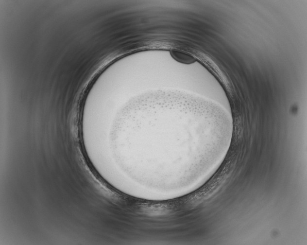 X0000116880851201001191742