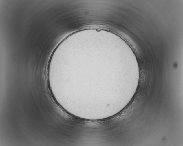 X0000116880852201001191742