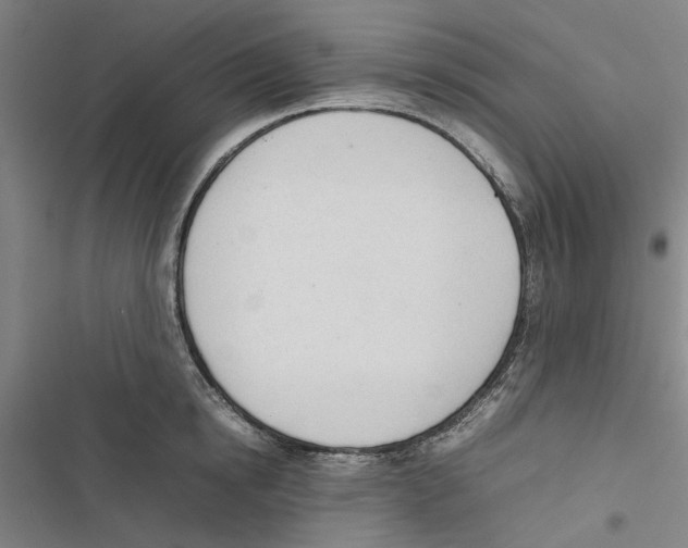 X0000116880854201001191742