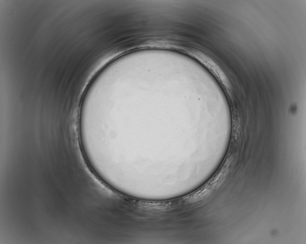 X0000116880855201001191742