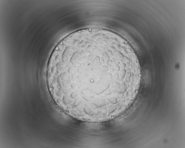 X0000116880856201001191742