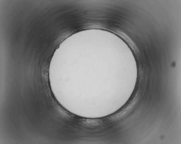 X0000116880857201001191742