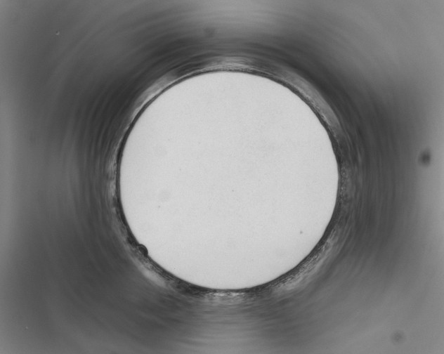 X0000116880858201001191742