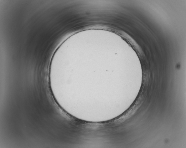 X0000116880860201001191742