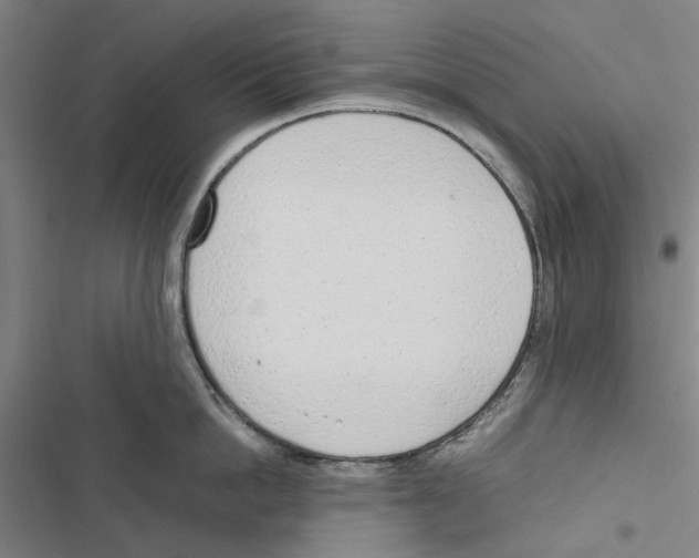 X0000116880862201001191742