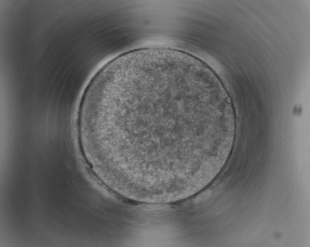 X0000116880864201001191742