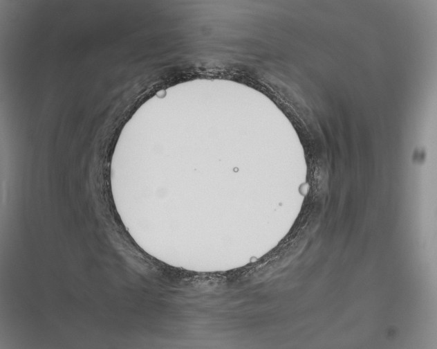 X0000116880865201001191742