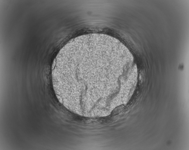 X0000116880867201001191742