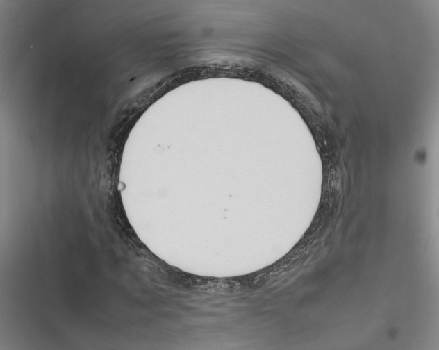 X0000116880869201001191742