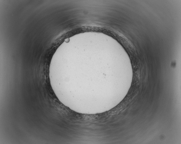 X0000116880870201001191742
