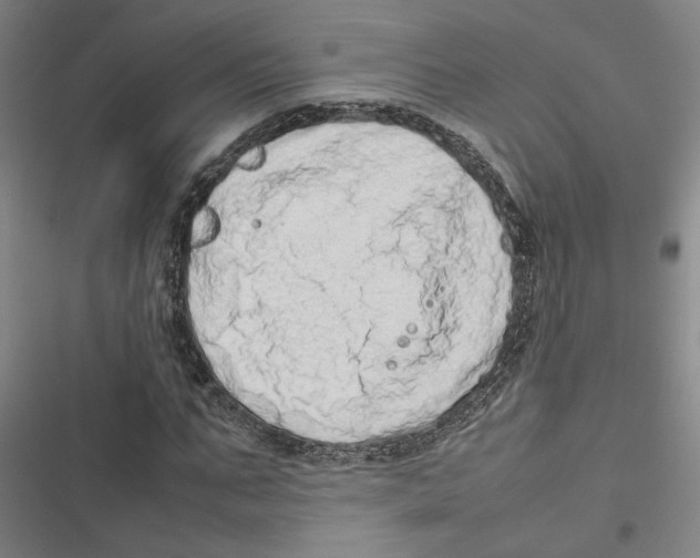 X0000116880871201001191742