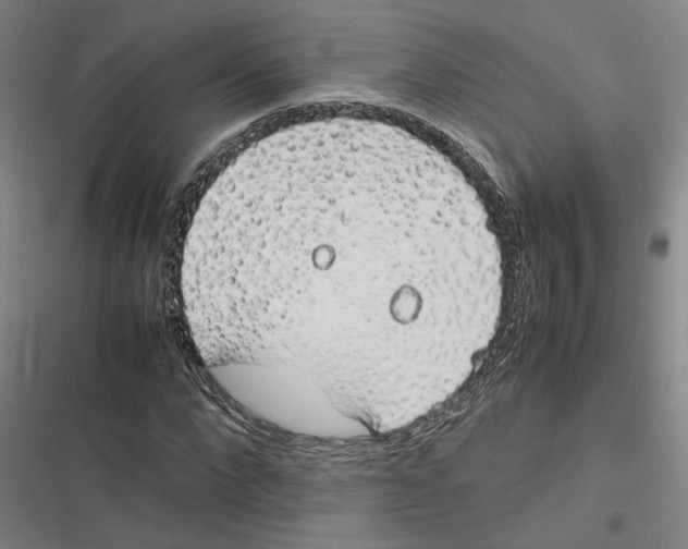 X0000116880872201001191742