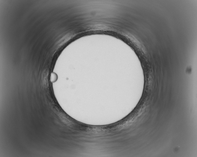 X0000116880873201001191742