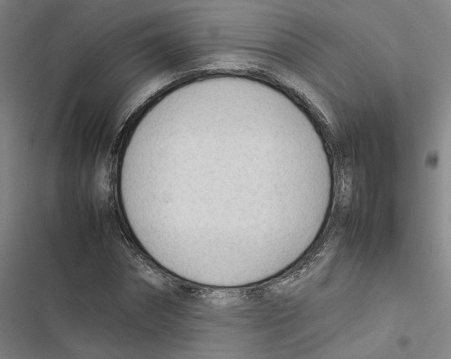 X0000116880874201001191742