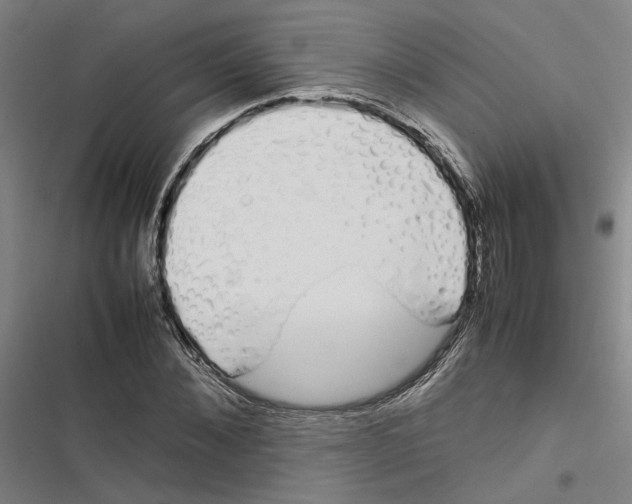 X0000116880876201001191742